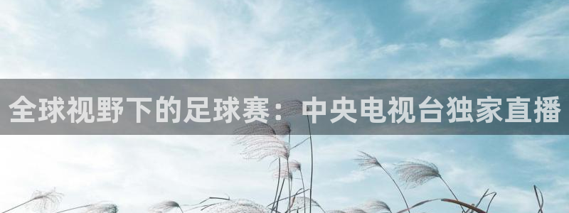 直播看球吧：全球视野下的足球赛：中央电视台独家直播