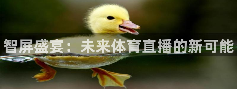 nba看球吧免费直播：智屏盛宴：未来体育直播的新可能