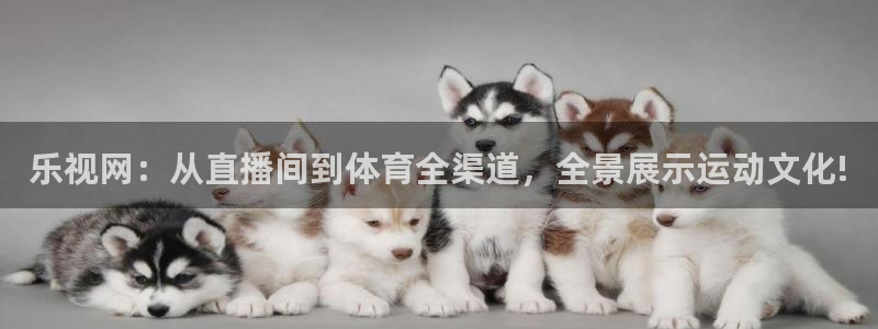 看球吧直播nba直播：乐视网：从直播间到体育全渠道，全景展示运动文化!