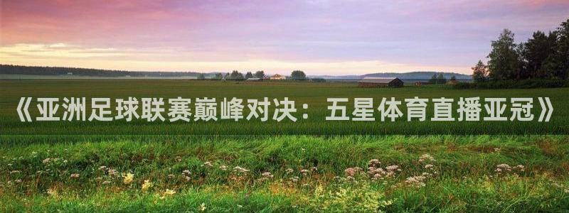 篮球比赛直播在线观看球吧网：《亚洲足球联赛巅峰对决：五星体育直播亚冠》