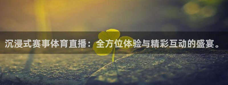 看球吧在线观看：沉浸式赛事体育直播：全方位体验与精彩互动的盛宴。