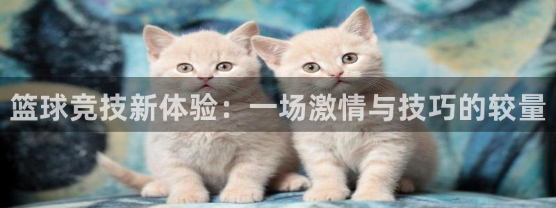 24直播吧 看球吧：篮球竞技新体验：一场激情与技巧的较量