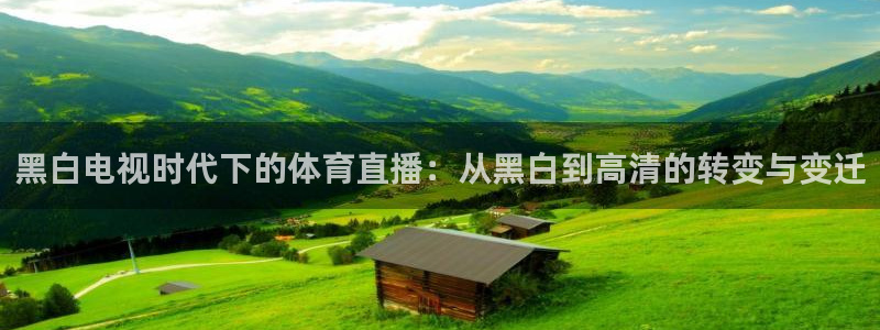 零点直播吧看球吧：黑白电视时代下的体育直播：从黑白到高清的转变与变迁