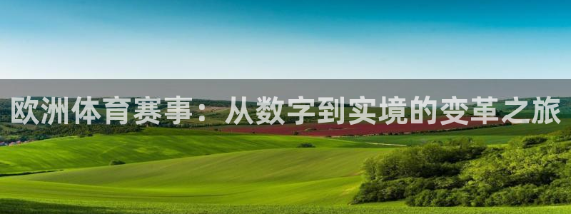 看球吧体育直播平台：欧洲体育赛事：从数字到实境的变革之旅