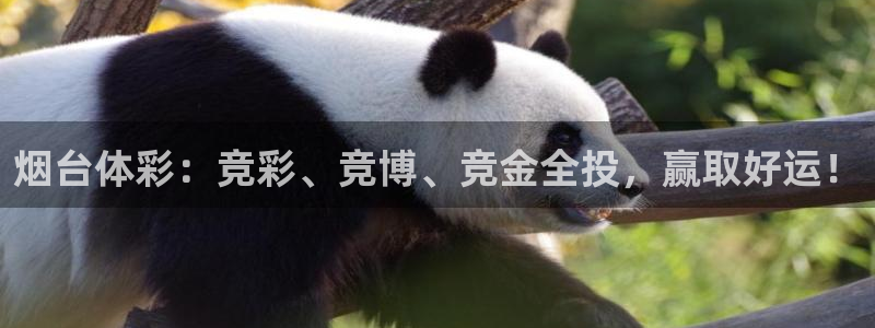 看球吧nba直播吧在线直播：烟台体彩：竞彩、竞博、竞金全投，赢取好运！