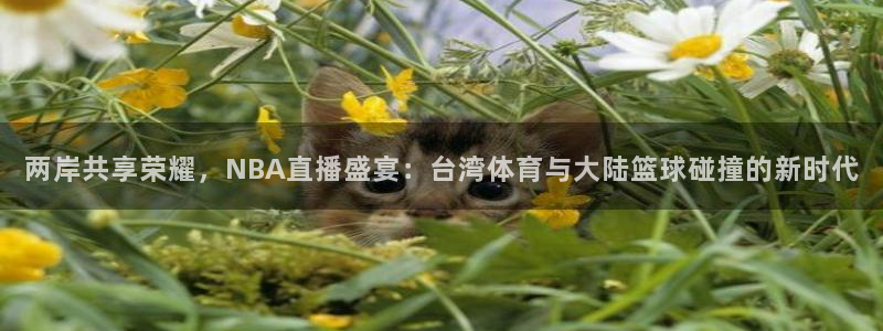 24看球吧直播：两岸共享荣耀，NBA直播盛宴：台湾体育与大陆篮球碰撞的新时代